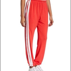 Spiritual Gangster Malibu Nights Sweatpants Small